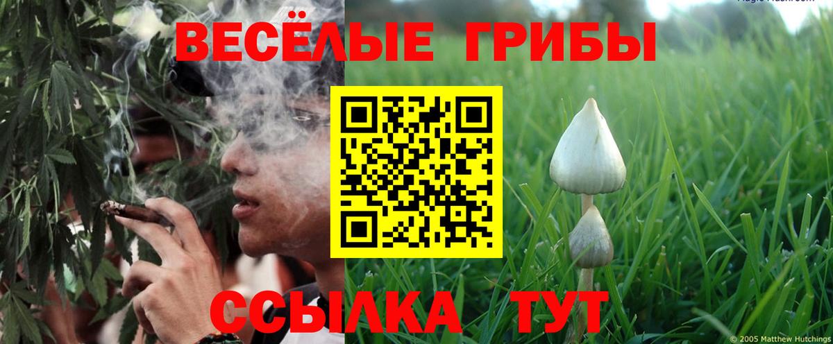 Псилоцибиновые грибы ЛСД Георгиевск